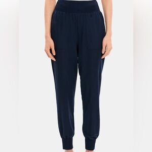 Theory Black Velvet Rumdi Joggers